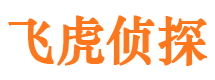 武夷山市调查取证